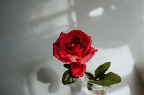 11 Simpatias Para Ele Pensar em Mim 24 Horas (Me Procurar).